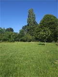 Image du bien UBI477903122